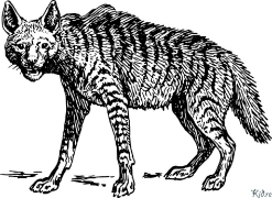 hyena Halaman Pewarna Boleh Cetak